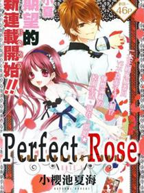 完美蔷薇Perfect Rose（蔷薇♥恋爱预感）