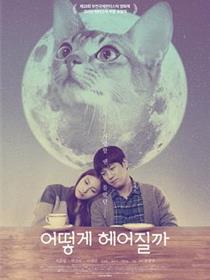 如何与我的猫分手