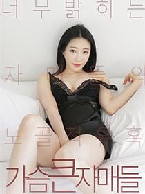 《霹雳宝贝2》法国版