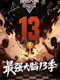 最强大脑第13季