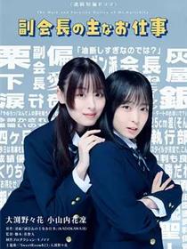 副会长的主要工作