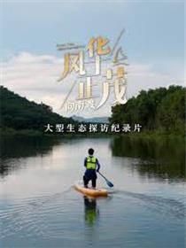 风华正茂第三季