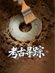 X档案·考古寻踪