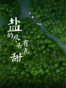 盐的尽头有点甜