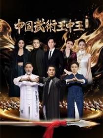 中国武术王中王第二季