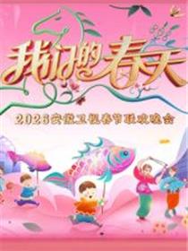 安徽卫视春节联欢晚会2026