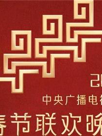 2026中央广播电视总台春节联欢晚会