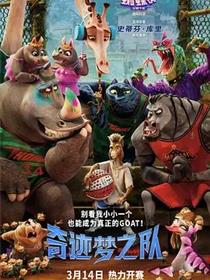 奇迹梦之队